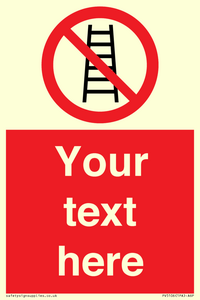 Custom No Ladders Sign